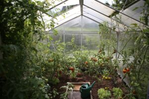 green house in NYC