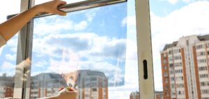 applying window film to apartment building windows in NYC
