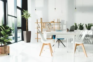 A modern, bright office with large clean windows, natural light, and lush green plants enhancing the workspace ambiance.